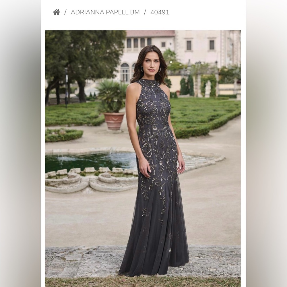 Adrianna Papell Platinum Sleeveless Evening Gown/ Bridal with Embellishments - Picture 4 of 5